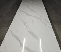Panneau mural en PVC durable effet marbre avec protection UV pour la décoration intérieure commerciale