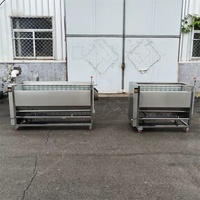 Commerciële automatische fruit- en groentereinigings- en schilmachine met motor