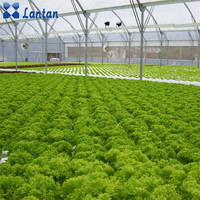 Aangepast export groot formaat NFT hydrocultuur kweekgootsysteem voedselveilige PVC voor eenvoudige bediening sla aardbei