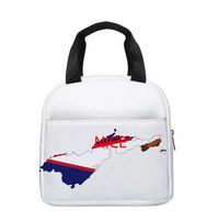 Sac isotherme vintage avec cadre drapeau Samoa Américain, sac à main portable réutilisable, sac à déjeuner patriotique pour le travail