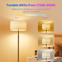Lampadina LED Smart WiFi E26 E27 Multicolore Dimmerabile con Controllo Vocale