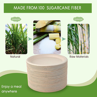 150 pièces Heavy Duty 100% Compostable Blanc 10 pouces Assiettes Jetables Eco Sugarcane Fiber Biodégradable Assiettes Bagasse