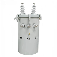 14.4 Kv 25KVA 50KVA 100 KVA Düşük Kayıplı Tek Fazlı Toroidal Bobin Dağıtım Transformatörleri 50/60HZ