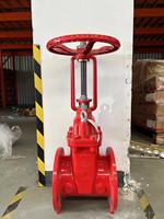 Model XZ41X PN25 DN150 Flanged katup gerbang segel lembut batang terbuka dengan standar aksesori peralatan pemadam kebakaran tinggi