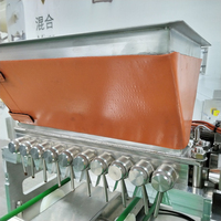 Équipement automatique de fabrication de bonbons gélifiés à petite échelle, machine à bonbons, machine à bonbons mous, machine à remplir de chocolat, machine à déposer des gélifiés