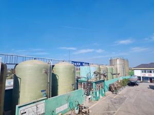 100% Apparence liquide d'huile de rhum de baie organique et naturellement dérivée - Product Image 4