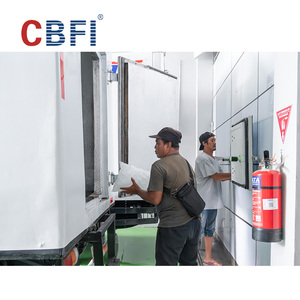 Cbfi 10 tấn Ice ống máy làm với máy đóng gói và Ice bin - Product Image 6