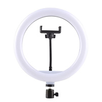 Anneau lumineux LED portable de 10 pouces pour photographie, éclairage selfie pliable, température de couleur réglable pour YouTube, TikTok, vidéo en direct