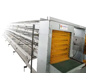 Cages pour poules pondeuses à 4 niveaux avec système de collecte automatique des œufs