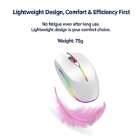 T24 Mouse Optik Nirkabel USB 3 Tombol RGB LED Backlit DPI Dapat Disesuaikan Mouse Komputer Tangan Kanan untuk Kantor dan Gaming