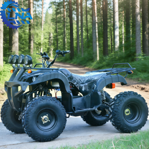 Repuestos LNA disponibles para cuatrimoto eléctrica ATV de 2000w de alta resistencia para alquiler safari - Product Image 2