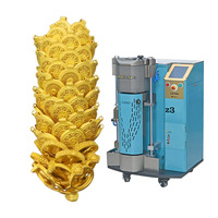 Machine de fusion sous vide pour bijoux en or, capacité 3 kg, fusion rapide, équipement de moulage automatique