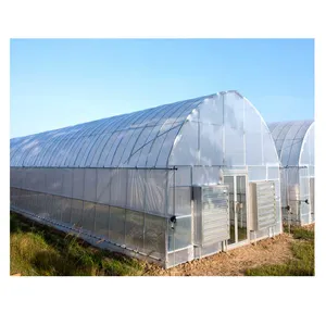 เรือนกระจก 30X60 ในประเทศอุโมงค์โพลี Greenhouse Farming ในเคนยา