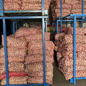 Qualidade Premium Red Fresh Alho Pesticida Livre Ajo Chino Ail Frais para Alho Pó Importador nos Emirados Árabes Unidos - Product Image 5