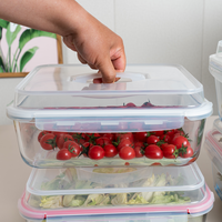 Grands récipients de stockage d'aliments étanches à l'air en verre à haute teneur en borosilicate avec couvercle de verrouillage hermétique à poignée