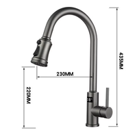 Robinet de cuisine moderne en alliage de zinc plaqué brossé avec capteur numérique, mitigeur douchette extractible à trou unique, cartouche céramique, pour hôtel
