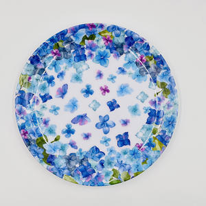 Juegos <span class=keywords><strong>de</strong></span> Platos <span class=keywords><strong>de</strong></span> Melamina para Comer al Aire Libre con Platos para Ensalada <span class=keywords><strong>de</strong></span> 8 Pulgadas y Platos para Cena <span class=keywords><strong>de</strong></span> 10 Pulgadas - Product Image 2