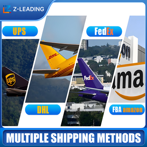 Air Express Shipping Agent FBA United Kingdom <strong>London</strong> Heathrow Airfreight Service Customs Clearance Door <strong>to</strong> Logistics - Product Image 4