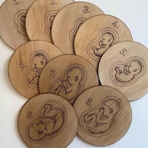 Puzzle en bois sur le cycle de croissance fœtale, jeu éducatif pour bébé sur le processus de <span class=keywords><strong>grossesse</strong></span>, apprentissage cognitif précoce, vulgarisation scientifique, jouet d'apprentissage - Product Image 4