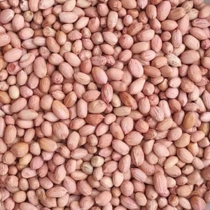 Chất lượng cao xuất khẩu lớp rang đậu phộng khô lạc Snack thực phẩm bơ đậu phộng sản xuất nguyên liệu chế biến số lượng lớn Nhà cung cấp - Product Image 4