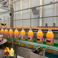 Sapproductielijn Drankproductielijn Verwerkingslijn Sapverwerkingsmachine