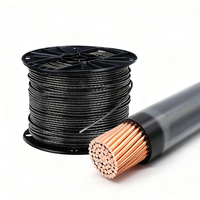 Cable THHN, Proveedor de Tamaños de Cable THHN en Filipinas, AWG 1AWG 2AWG 4AWG 6AWG 8AWG 10AWG 12AWG 14AWG, Cable Eléctrico de Cobre y Nailon THHN