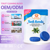 Recharges de bombes pour réservoir de toilettes, 2 comprimés, parfum eucalyptus, désodorisant naturel, bleu, système Caddy, assainisseurs d'air