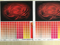 HONGSAM 9 couleurs Encre pigmentée à base d'eau de qualité supérieure compatible avec les cartouches de recharge pour Epson P8000 P7580 P8080 P6000