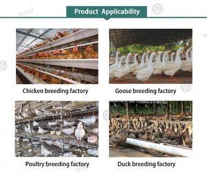 Super Humato de Sodio en Escamas Brillantes, Aditivo de Aminoácidos de Grado Alimenticio para Cerdos y Pollos, Potenciador del Crecimiento Animal, Suplemento para Alimento de Aves - Product Image 2