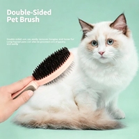 Brosse de toilettage double face pour animaux de compagnie avec coussin d'air et poignée en TPR – Offre spéciale