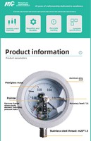 Pressostat antidéflagrant YTX-160B pour pression d'air et vide 0-1,6 MPa, en acier inoxydable 304, garantie 6 mois, support personnalisé