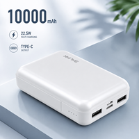 Power Bank 10000mAh 22.5W Pengisian Cepat Portabel Input Output Tipe-C Pengisi Daya Ponsel untuk Android OEM ODM