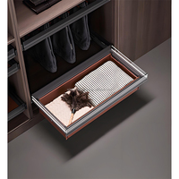 Accessoires de garde-robe de luxe légers avec rails coulissants, porte-pantalon, porte-chaussures, plateau à bijoux et panneau plat en verre, panier de rangement