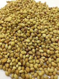 Graines de coriandre entières, épices naturelles d'Orissa, DALAI IMPEX, pour la cuisine et l'assaisonnement - Product Image 6
