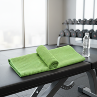 Serviette de sport rafraîchissante Landun ultra-douce à séchage rapide, effet glace instantanée, couleur unie, design tissé pour usage extérieur