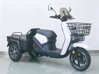 Tricycle Électrique Robuste 12 Pouces pour Adultes, Vélo Cargo 45 km/h, Moto à Trois Roues 72V30Ah 5000W, Anti-Renversement