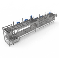Automatische Bevroren Verwerkingslijn 7500 Kg/u Iqf Gefluïdiseerde Bedvriezer Efficiënt Groente Fruit Zeevruchten Vlees Product Prijs Instock