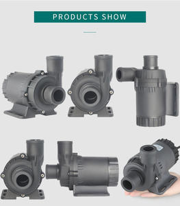 Petite <span class=keywords><strong>pompe</strong></span> à eau <span class=keywords><strong>solaire</strong></span> à pression variable à vitesse variable, à drainage périostaltique magnétique acide submergé, pour l'agriculture, à condensation, à ondes de surface - Product Image 2