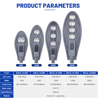 Lampadaire LED étanche IP65 en aluminium de Guangdong Zhongshan, COB 30W 50W 100W 150W 200W
