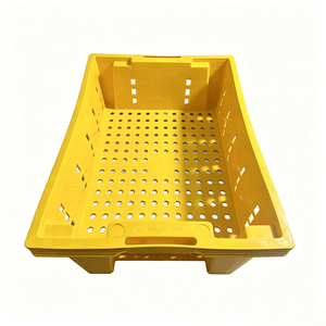 Bac de manutention pour fruits et légumes, moulé par injection plastique, pour atelier de transformation alimentaire, fabrication OEM au Vietnam, selon les dessins - Product Image 1