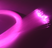 100 brins de fibre optique PMMA de 2 mm de diamètre et 2 m de longueur, kit d'éclairage à fibre optique pour ciel étoilé, bonne performance de guidage de la lumière