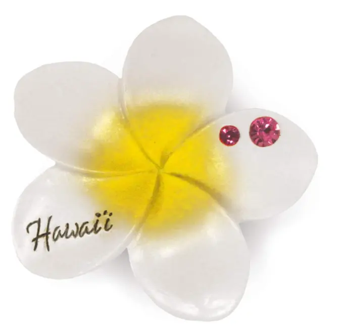 Hawaiian Handgeschilderde Hars Magneet