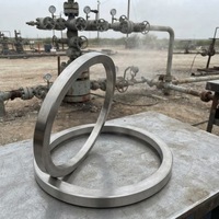Joint d'étanchéité Gaksets pour tête de puits pétrolier R Rx Bx R en acier inoxydable S316 S304 ASME API 6A, haute pression