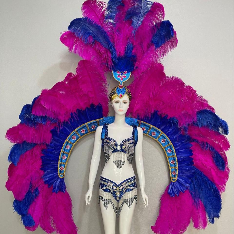 Brazilian Samba Carnival Carnival Feathered Wings Music Festival Dancer ...