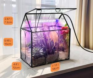 Terrario de Vidrio para Orquídeas, Suculentas y Cactus, en Forma de Casa, Grande y Alto, con Tapa - Product Image 5