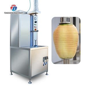 Edelstahl Automatische Fruchtmelonen-Hauts chäler Kürbis-Ananas-Schälmaschine - Product Image 1