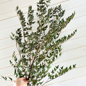 <span class=keywords><strong>Flor</strong></span> Eterna de <span class=keywords><strong>Nandina</strong></span>, Planta Ma Zui Mu Doméstica, <span class=keywords><strong>Flor</strong></span> Real para Decoración de Sala de Estar o Cafetería, Ramas Secas Creativas - Product Image 3