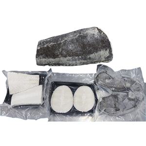 سمك الأسنان المجمد (ديسوستيكس إليجينويدس) لسوق المأكولات البحرية العالمية والأعمال التجارية الدولية للتصدير - Product Image 4