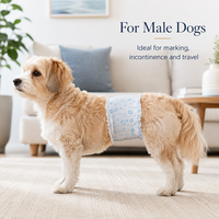 Bandes abdominales imprimées sur mesure pour chiens mâles, couches absorbantes jetables pour animaux de compagnie, protection contre les fuites, vente en gros, directement de l'usine