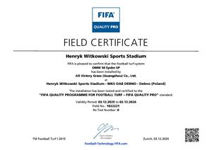 Césped Artificial de Alta Densidad AVG para Fútbol en Interiores y Exteriores - Product Image 2